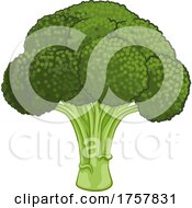 Poster, Art Print Of Broccoli Vegetable Cartoon Food Drawing