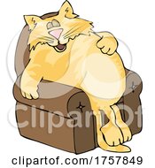 Lazy Fat Orange Cat Sleeping In A Chair