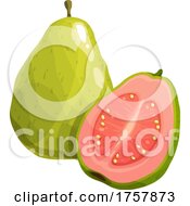 Poster, Art Print Of Guava