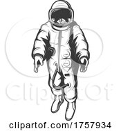 Poster, Art Print Of Astronaut