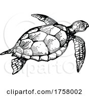 Poster, Art Print Of Sea Turtle