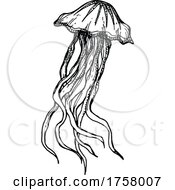 Poster, Art Print Of Jellyfish