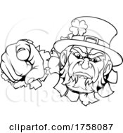Leprechaun Mascot Cartoon Character Pointing