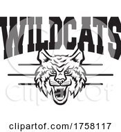 Poster, Art Print Of Cat Mascot Under Wildcats Text