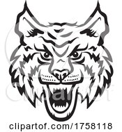Poster, Art Print Of Wildcat Or Bobcat Mascot Head