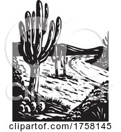 Poster, Art Print Of Wpa Art Saguaro National Park In Pima County Arizona Usa Grayscale Black And White