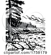 Poster, Art Print Of Acadia National Park On Mount Desert Island Maine Usa Wpa Black And White Art