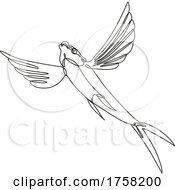 Poster, Art Print Of Sailfin Flying Fish Taking Off Continuous Line Drawing