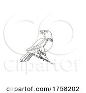 Common Raven Perching On Branch Continuous Line Drawing