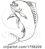Poster, Art Print Of Dorado Dolphin Fish Or Mahi Mahi Jumping Up Continuous Line Drawing