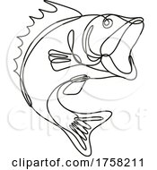 Poster, Art Print Of Largemouth Bass Jumping Up Continuous Line Drawing