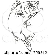 Largemouth Bass Jumping Up Continuous Line Drawing