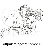 Poster, Art Print Of Bighorn Sheep Ram Jumping And Attacking Continuous Line Drawing