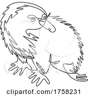 Echidna Or Spiny Anteater Side View Continuous Line Drawing