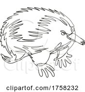 Echidna Or Spiny Anteater Side View Continuous Line Drawing