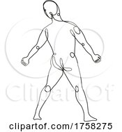 Poster, Art Print Of Nude Male Human Figure Standing Arms On Side Viewed From Rear Continuous Line Drawing