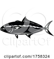 Poster, Art Print Of Greater Amberjack Seriola Dumerili Medregal Coronado Allied Kingfish Greater Yellowtail Mascot