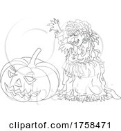Halloween Jackolantern Pumpkin And Witch