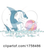 Shark Playing With A Beach Ball by Alex Bannykh