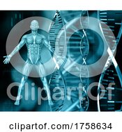 Poster, Art Print Of 3d Medical Background With Dna Strands And Male Figure With Muscle Map