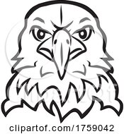 American Bald Eagle Mascot by Johnny Sajem