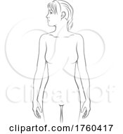 Human Physiology Woman Body Anatomy Outline Front by AtStockIllustration