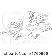 Cartoon Black And White Turkey Bird Running