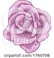 Rose Flower Design Woodcut Vintage Retro Style by AtStockIllustration