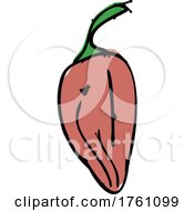 Drawing Sketch Style Illustration Of A Hot Chili Pepper by patrimonio