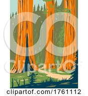 Poster, Art Print Of Mariposa Grove Of Giant Sequoia In Yosemite National Park Near Wawona California Wpa Poster Art