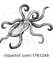 Poster, Art Print Of Octopus