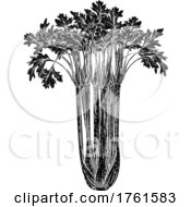 Celery Vegetable Vintage Woodcut Illustration