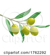 Green Olives by Vector Tradition SM