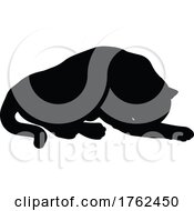 Silhouette Cat Pet Animal by AtStockIllustration