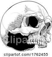Poster, Art Print Of Skull Skeleton Grim Reaper Mascot Vintage Woodcut