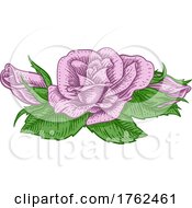 Poster, Art Print Of Rose Flower Design Woodcut Vintage Retro Style