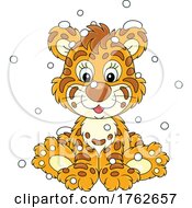 Sitting Tiger Cub In Snow
