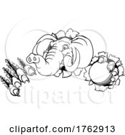 Poster, Art Print Of Elephant Cricket Ball Sports Animal Mascot