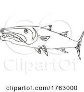 Poster, Art Print Of Barracuda Or Cuda Predatory Ray Finned Fish Viewed From Side Continuous Line Drawing