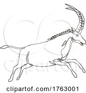 Poster, Art Print Of Black Sable Antelope Or Hippotragus Niger Jumping Continuous Line Drawing