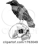 Crow Raven Corvus Bird And Skull Vintage Woodcut by AtStockIllustration