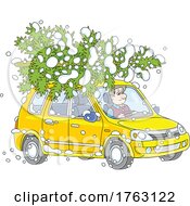 Cartoon Man Transporting A Fresh Cut Christmas Tree On The Roof Of His Car