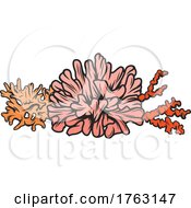 Poster, Art Print Of Sea Coral