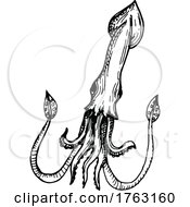 Poster, Art Print Of Squid