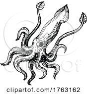 Poster, Art Print Of Squid