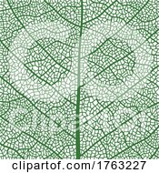 Green Skeleton Leaf Background