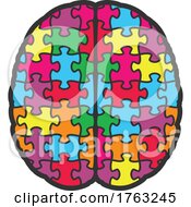 Human Brain Puzzle