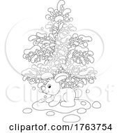 Black And White White Hare Bunny WIth An Evergreen Tree In The Snow