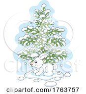 White Hare Bunny With An Evergreen Tree In The Snow