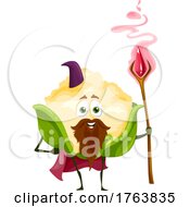 Cauliflower Wizard Mascot by Vector Tradition SM